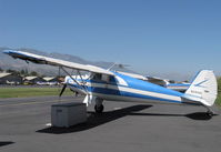 N25100 @ SZP - 1939 Luscombe 8A, Continental A&C65 65 Hp, ragwing with wing covers - by Doug Robertson