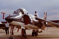 XZ451 @ EGDY - Coded 100/VL of 700NAS. The first Sea Harrier delivered to the RN. At the RNAS Yeovilton Air Day 1979. - by Roger Winser