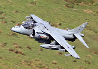 ZD438 photo, click to enlarge ZD438 photo, click to enlarge