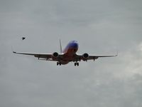 N444WN photo, click to enlarge