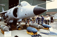 ZA194 @ EGDY - Coded 251 of 809 NAS at the RNAS Yeovilton Naval Air Day 1982. - by Roger Winser