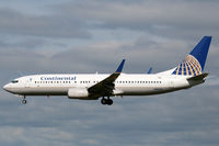 N76254 @ SEA - Continental has a pretty decent presence at SeaTac - by Duncan Kirk