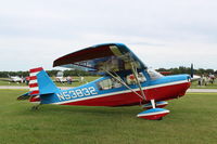 N53832 @ 88C - Bellanca 7ECA - by Mark Pasqualino