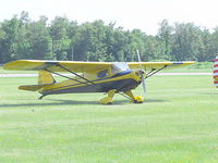 N96383 @ GVQ - At fly-in-breakfast in Batavia, NY. - by Terry L. Swann