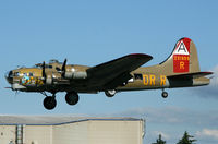 N93012 @ KPAE - KPAE