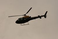 ZJ274 photo, click to enlarge ZJ274 photo, click to enlarge