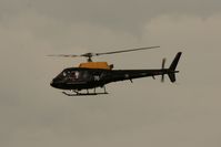 ZJ276 photo, click to enlarge ZJ276 photo, click to enlarge