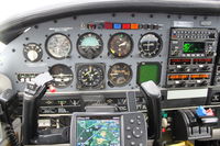 N8735E - Piper PA-32R-300 - by Mark Pasqualino