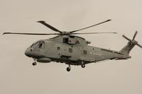 ZH842 photo, click to enlarge