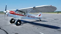 N7203Z @ KDAN - 1965 Piper Super Cub PA-18-150 in Danville Va. - by Richard T Davis