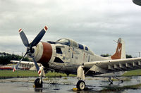 132443 photo, click to enlarge