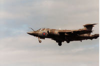 XV161 photo, click to enlarge XV161 photo, click to enlarge