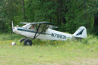 N78831 - 1947 Piper PA-11, c/n: 11-1605 at the old gravel strip in the centre of Talkeetna town - by Terry Fletcher