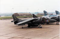 ZD376 @ EGDM - Harrier GR.5, callsign Wildcat Bravo, of RAF Wittering's 233 Operational Conversion Unit on the flight-line at the 1990 Boscombe Down Battle of Britain 50th Anniversary Airshow. - by Peter Nicholson