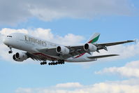 A6-EDG photo, click to enlarge A6-EDG photo, click to enlarge