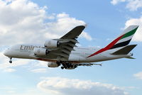 A6-EDG photo, click to enlarge A6-EDG photo, click to enlarge