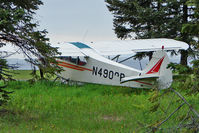 N4908P - 1962 Piper PA-18-150, c/n: 18-7789 at Anchor Point Alaska - by Terry Fletcher