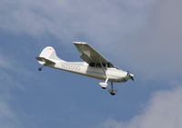 N2255D @ KOSH - Cessna 170B - by Mark Pasqualino