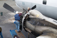 N500UA @ ENA - Universal Airlines DC6