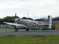 G-RADR @ EGPH - Skyraider sitting at the General aviation terminal,for a display at East fortune - by Mike stanners