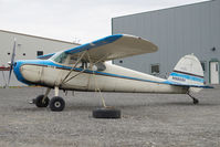 N3903V @ LHD - Cessna 170 - by Dietmar Schreiber - VAP