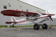N40463 @ LHD - Piper 18 - by Dietmar Schreiber - VAP