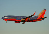 N464WN @ KSEA - KSEA - by Nick Dean