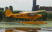 N729CJ @ 96WI - American Legend AL11 Cub moored at AirVenture 2010. - by Kreg Anderson