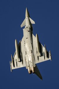 31 16 @ ETNL - straight up - by Friedrich Becker