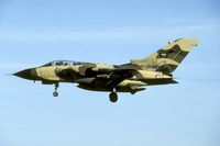 704 @ EGQS - after a fuel stop at Marham the Saudi Tornadoes arrived at Lossie late in the afternoon. This sunlight was marvelous that! - by Joop de Groot