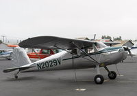 N2029V @ SZP - 1947 Cessna 140, Continental C85 85 Hp, highly polished - by Doug Robertson
