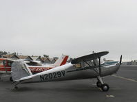N2029V @ SZP - 1947 Cessna 140, Continental C85 85 Hp, highly polished - by Doug Robertson