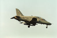 XX200 photo, click to enlarge XX200 photo, click to enlarge