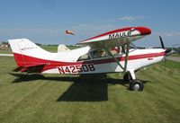 N42508 @ Y63 - 2010 LAPA Fly-in - by Kreg Anderson
