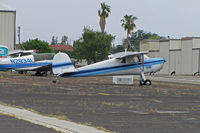 N72425 @ KRHV - 1946 Cessna 120 still flying - by Steve Nation