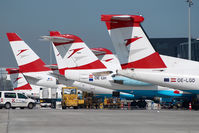 OE-LGD @ LOWW - Austrian Arrows dash 8-400 - by Dietmar Schreiber - VAP