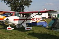 N3930P photo, click to enlarge