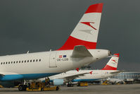 OE-LDB @ LOWW - Austrian Airlines Airbus 319 - by Dietmar Schreiber - VAP