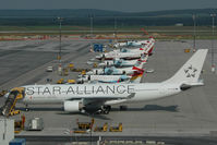 OE-LAO @ LOWW - Austrian Airlines Airbus 330-200 in Star Alliance colors - by Dietmar Schreiber - VAP