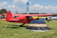 N3622P @ OSH - Airventure 2010 - Oshkosh, Wisconsin - by Bob Simmermon