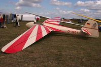 D-1901 - VGC 2010, Tibenham - by N-A-S