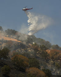 N60901 - Photo July 2010, taken on the Curve Fire between Springville and Porterville CA.  Taken by Reneh Agha of the Porterville Recorder. - by Reneh Agha  Porterville Recorder