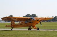 N7881D @ KOSH - Piper PA-18 - by Mark Pasqualino
