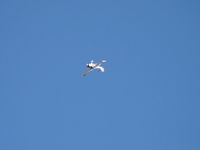 N6588C photo, click to enlarge