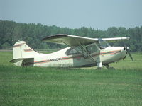 N9804Y @ D52 - Parked in the grass at Geneseo.. - by Terry L. Swann