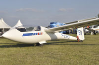 F-CGHJ @ LFFQ - at La Ferté-Alais - by Volker Hilpert