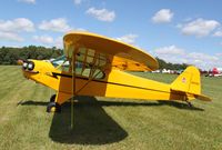 N6131H @ IA27 - Piper J3C-65 - by Mark Pasqualino