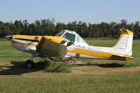 N731WV @ GVQ - An unfinished paint job perhaps? - by Duncan Kirk