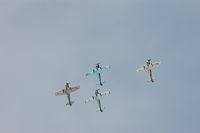 ZU-HOG @ EGFH - Leading Team Osprey in formation practice. - by Roger Winser