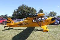 N6620H @ IA27 - Piper J3C-65 - by Mark Pasqualino